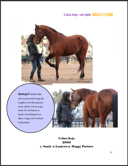 Läs om vår fina Cobra Kejs i 43:an