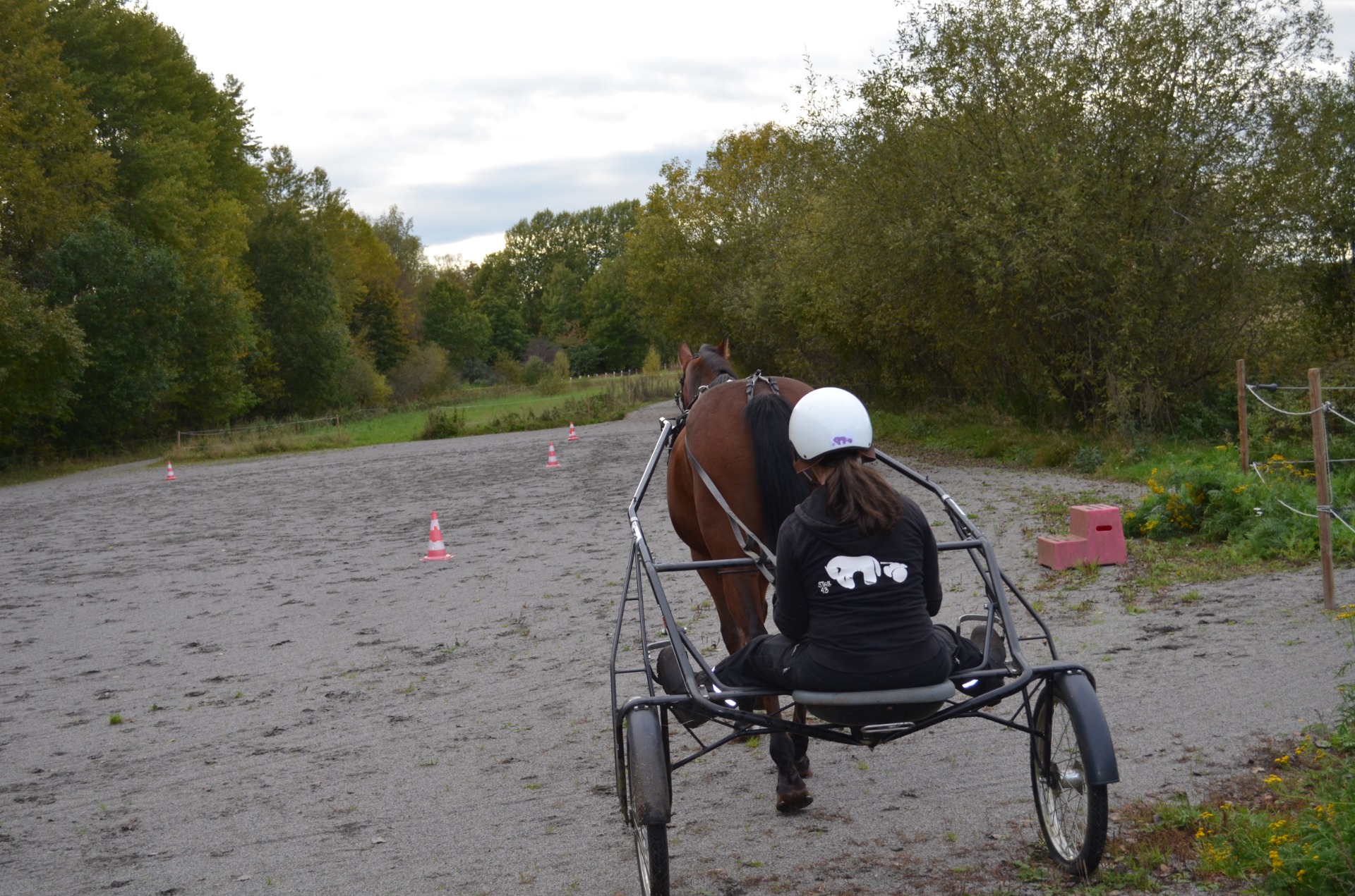 Clinics på gården i Nyckelby